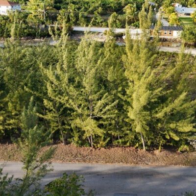 South Seas Estates SOUTH SEAS ESTATES