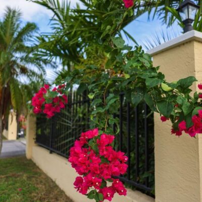 13-14 MIDSHIPMAN ROAD