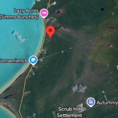 BUNCHES, LONG ISLAND