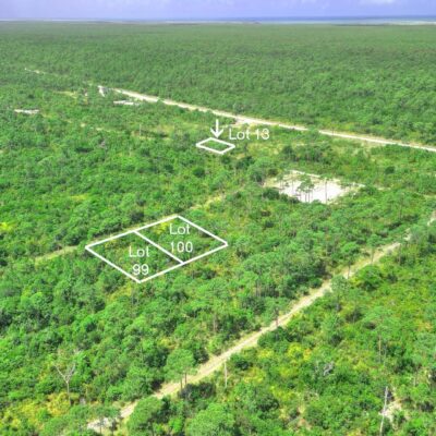 3 LOTS PINEHURST BAH PALM