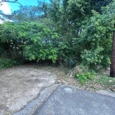 LOT WESTERN SIDE BERNARD