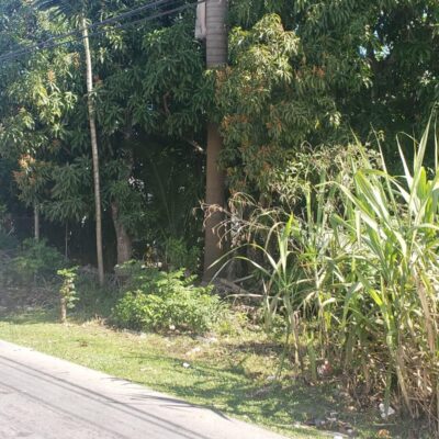 ALLOTMENT 25 GLADSTONE RD