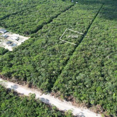 The Forest BAHAMA SOUND, 7 EAST, EXU