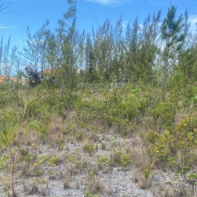 PARCEL B CORAL HARBOR
