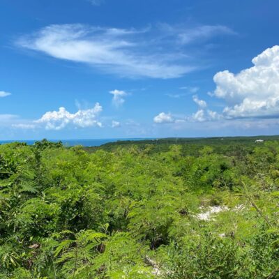 ELEUTHERA ISLAND SHORES