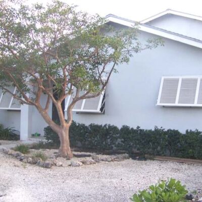 TROPICAL GARDENS.