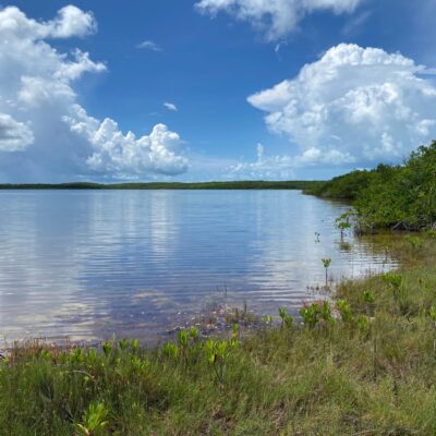 NORTH PALMETTO POINT, ELE