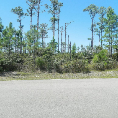 South Ocean Estates SOUTH OCEAN ESTATES LOT
