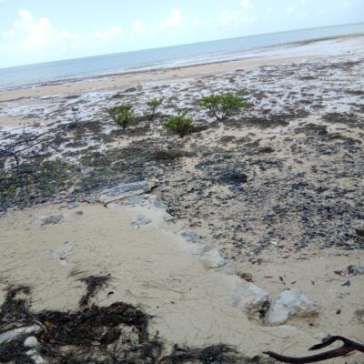 BAHAMA SOUND BOULEVARD