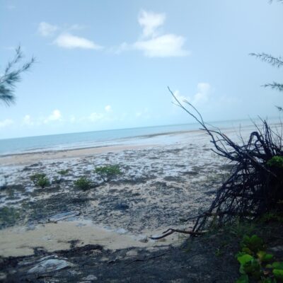 BAHAMA SOUND BOULEVARD