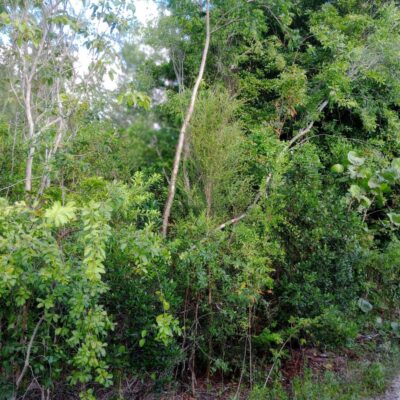 CALABASH BAY