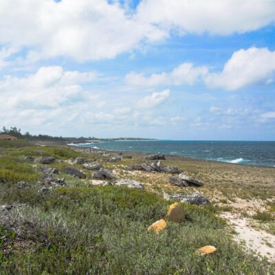 WHALE POINT DRIVE
