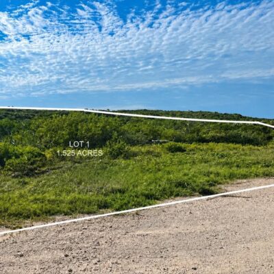 OCEANVIEW LOT 1, MILLERS