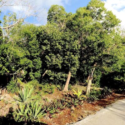LOT R 27 PALMETTO SHORES
