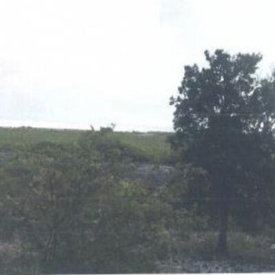 PARCEL OF LAND AND IMPROV