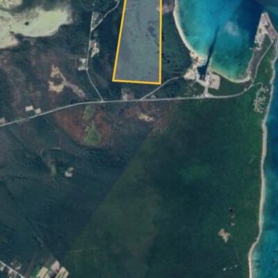 Simon Lyons Parcel JOANNE POINT