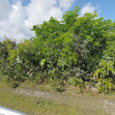 BAHAMIA WEST