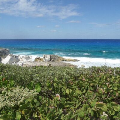 OCEAN VIEW ROAD,