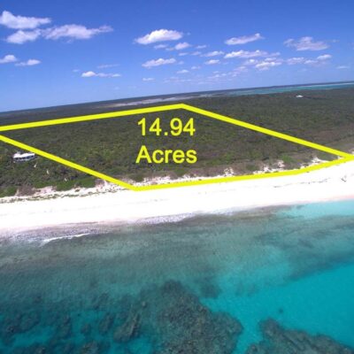 JOE BOOKIE BAY