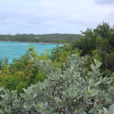 LOT #7 STANIEL CAY