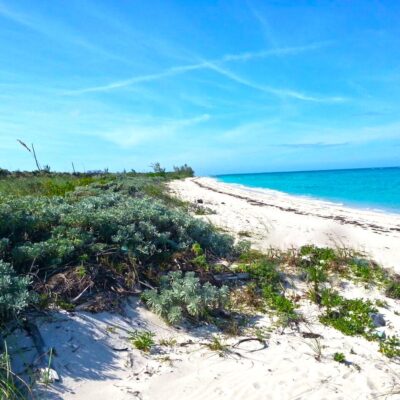 CAMPERDOWN BEACH